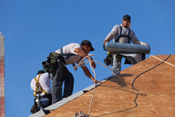 Best Metal Roofing Contractor  in Shell Valley, ND