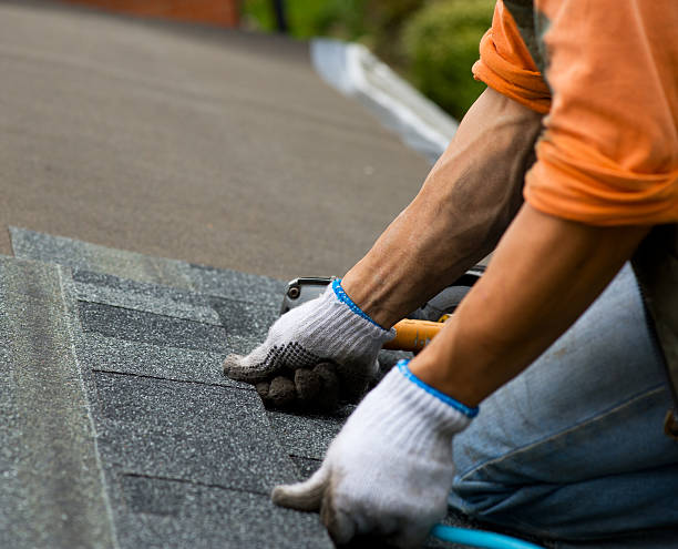 Best Roof Replacement Cost  in Shell Valley, ND